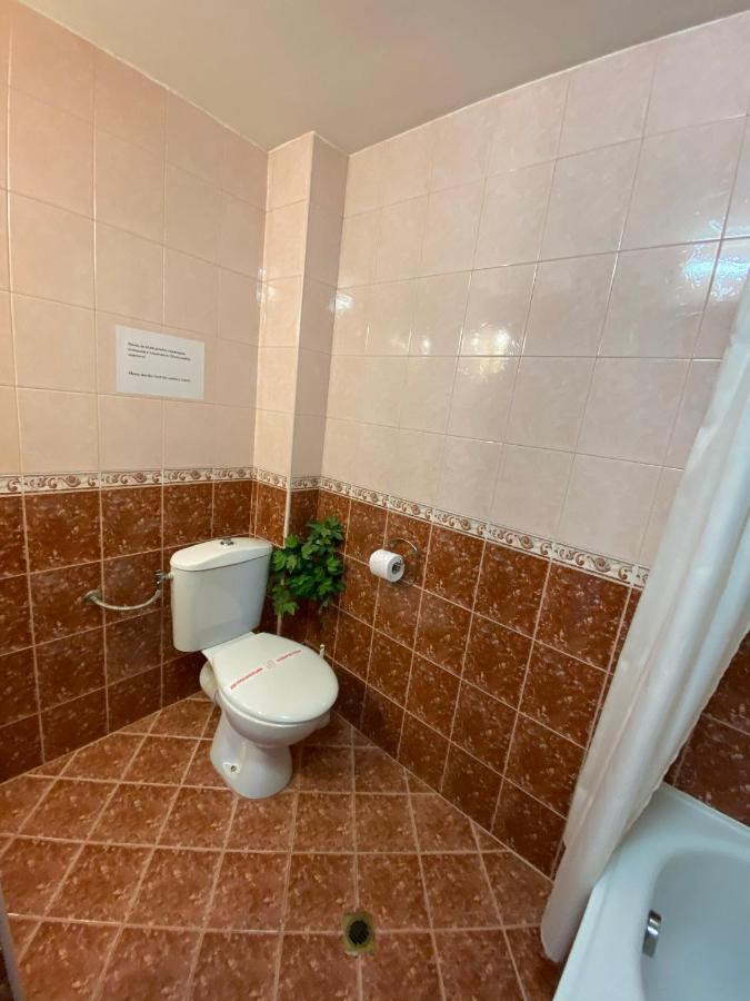 Homestay Pontica