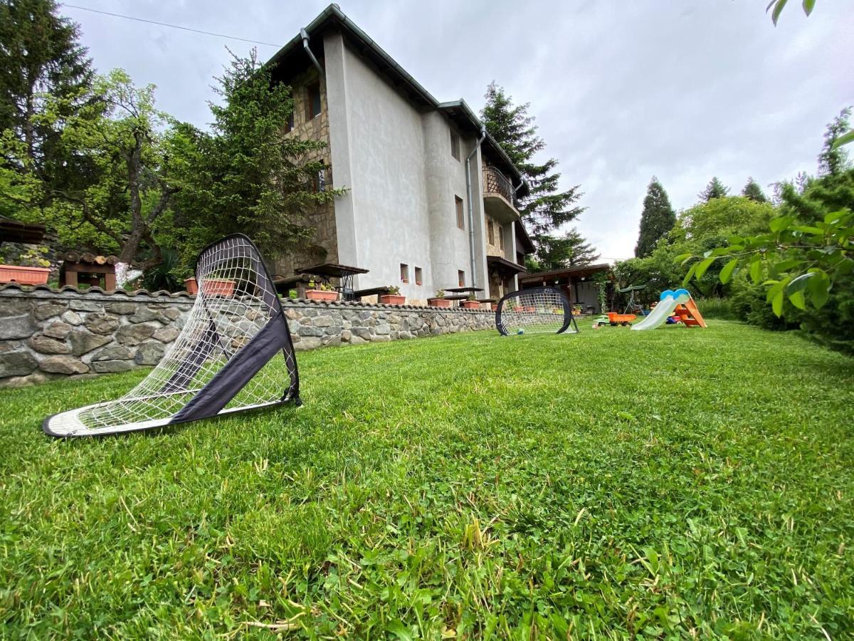Homestay Pontica