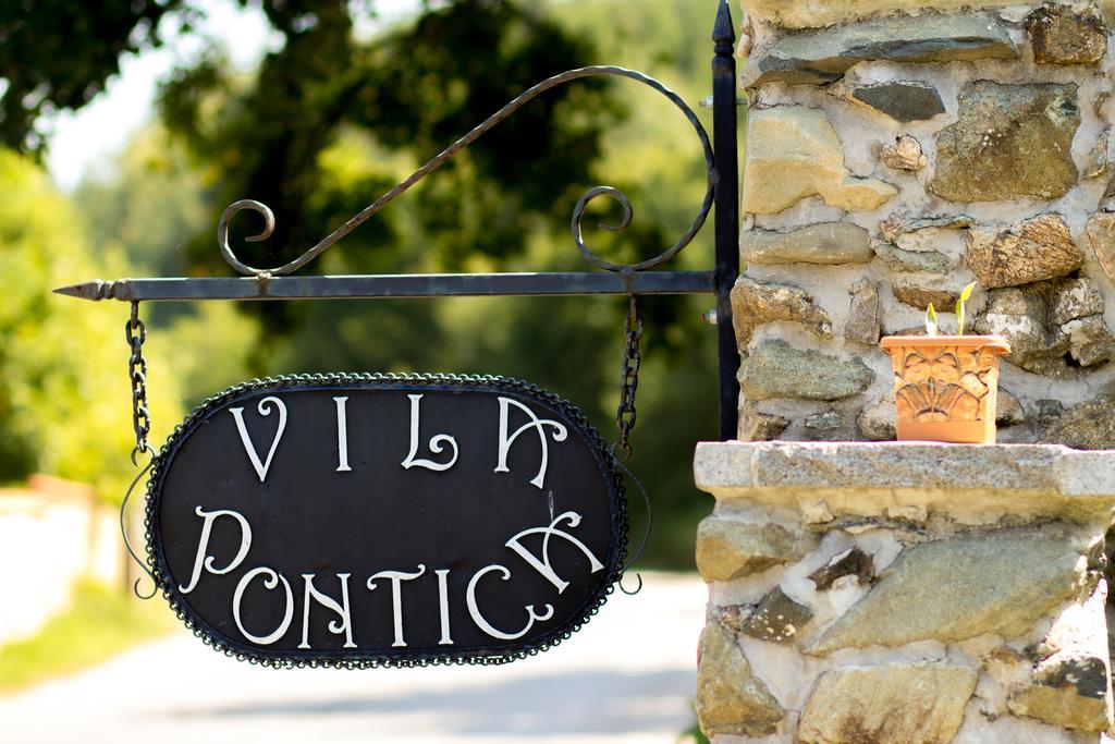 Homestay Pontica